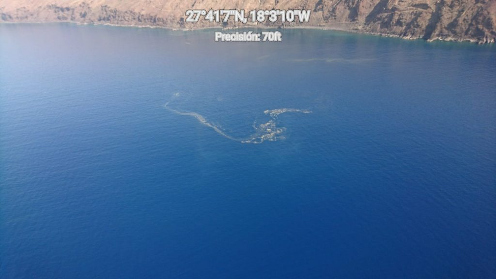 Microalgas en El Hierro. | DA