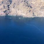 Microalgas en La Palma. | DA