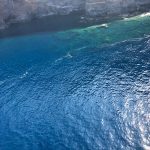 Microalgas en La Palma. | DA