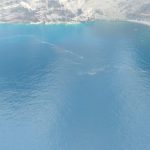Microalgas en Tenerife. | DA