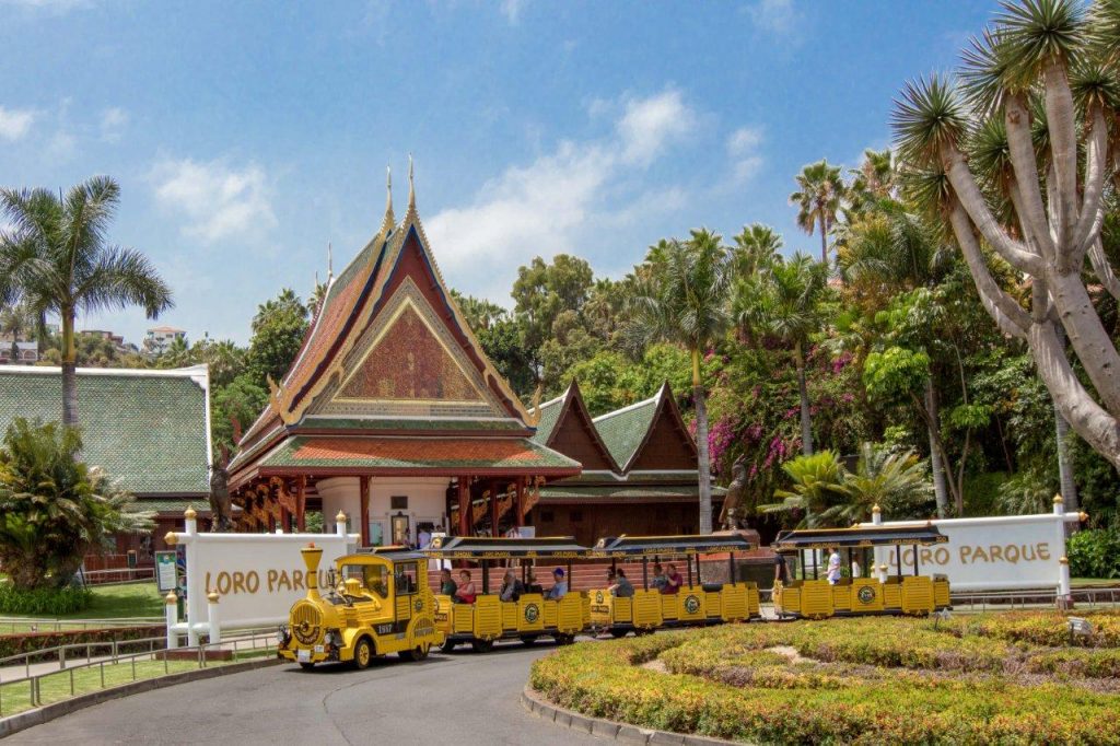 Loro Parque, reconocido por Trip Advisor como el Mejor Zoológico del mundo. | DA
