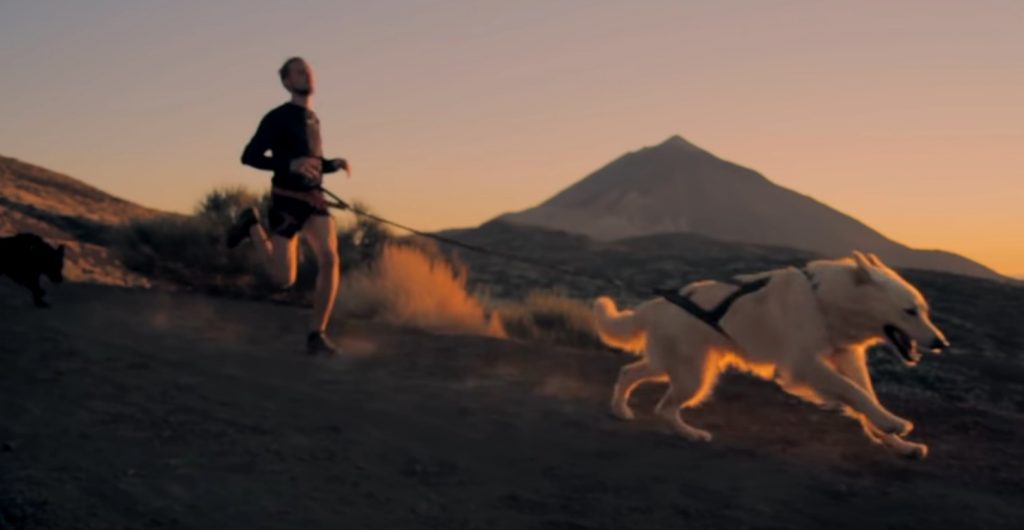Cristian Mesa, practicando con sus perros cerca del Teide. / YOUTUBE NORTHDOGS