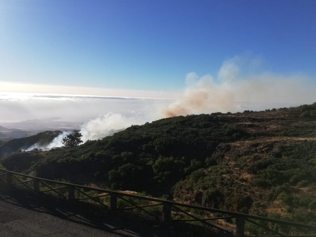 El conato de incendio se ha declarado entre los municipios grancanarios de Ingenio y Telde. | EP