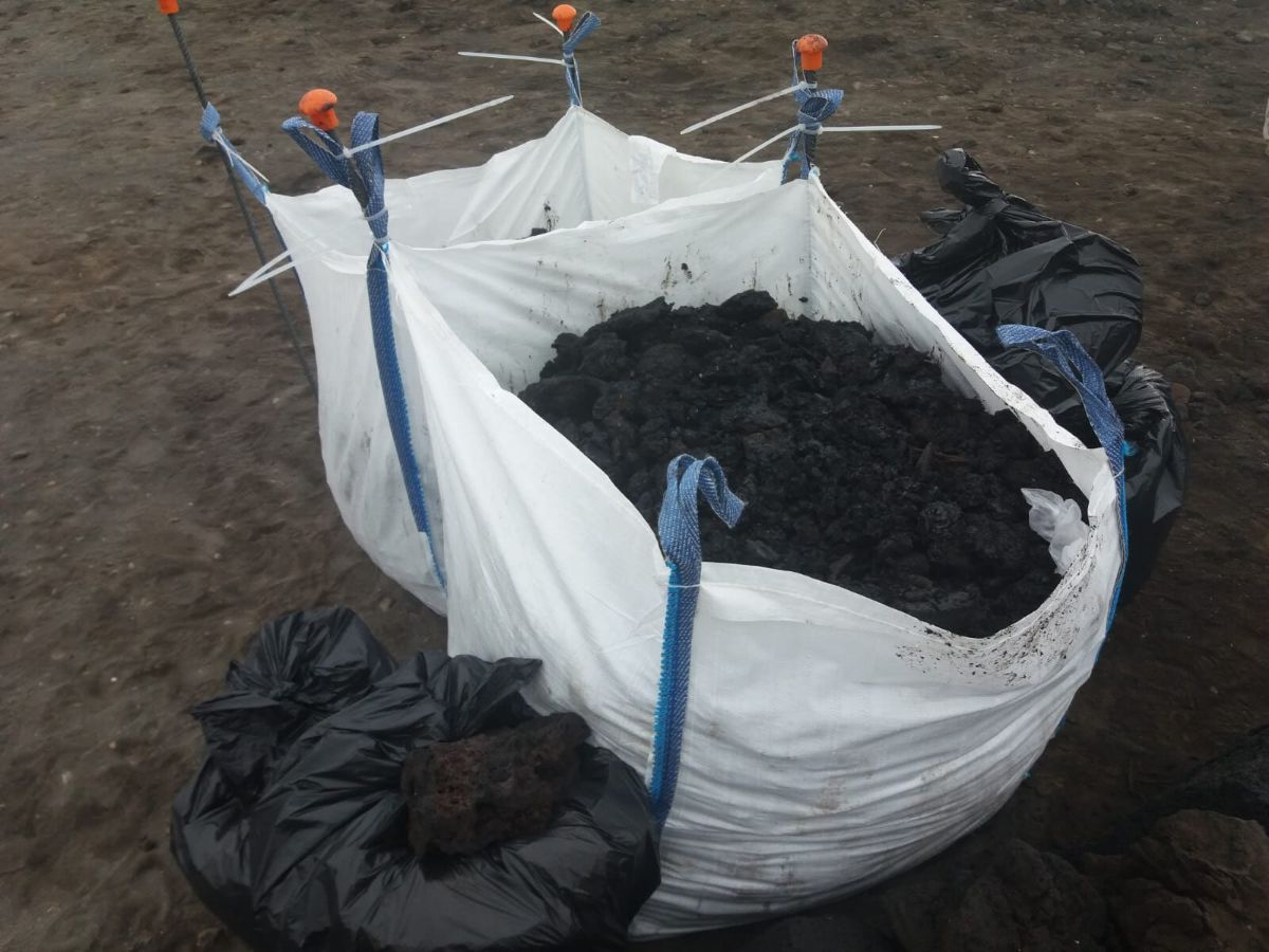 Medio Ambiente del Cabildo inició ayer la recogida de piche en el Malpaís, mientras la empresa causante del accidente está expedientada. Fran Pallero