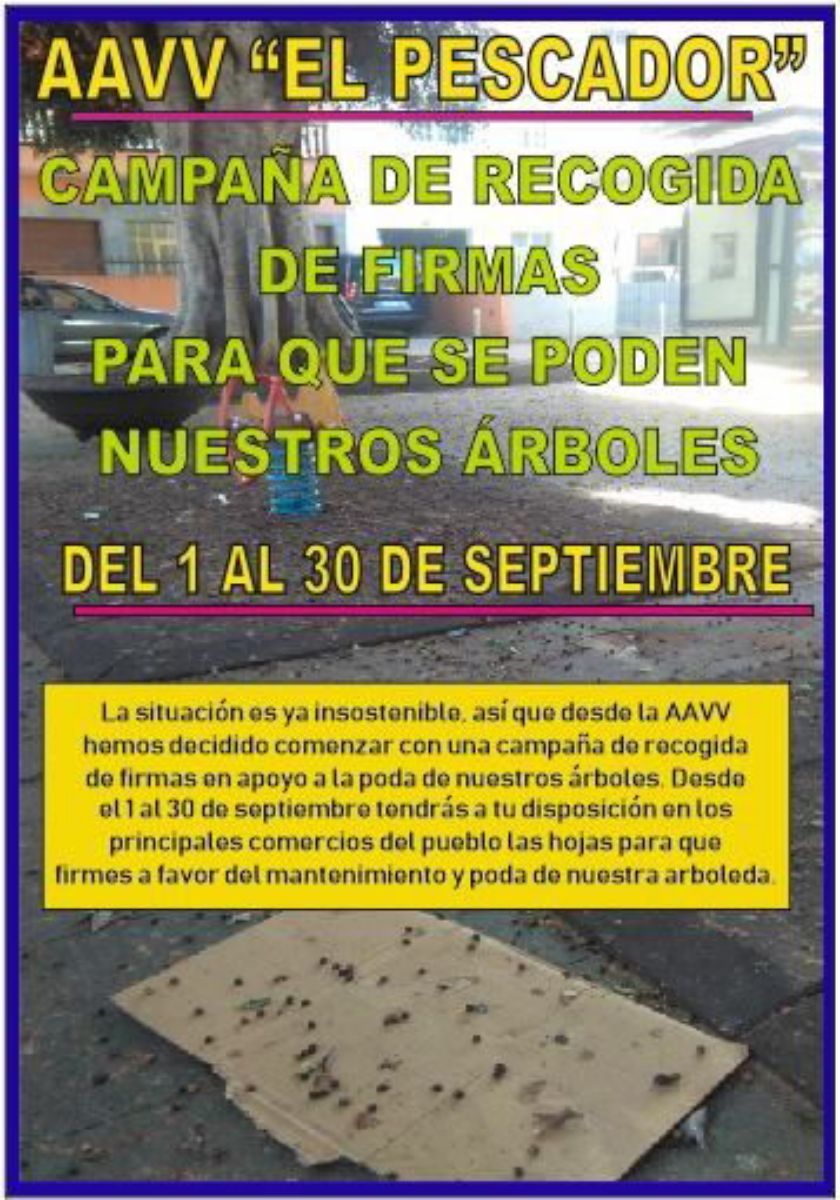 La carretera de Taganana y la plaza de Las Adelfas (en la imagen) son los puntos que más quejas vecinales acumulan por los árboles. DA