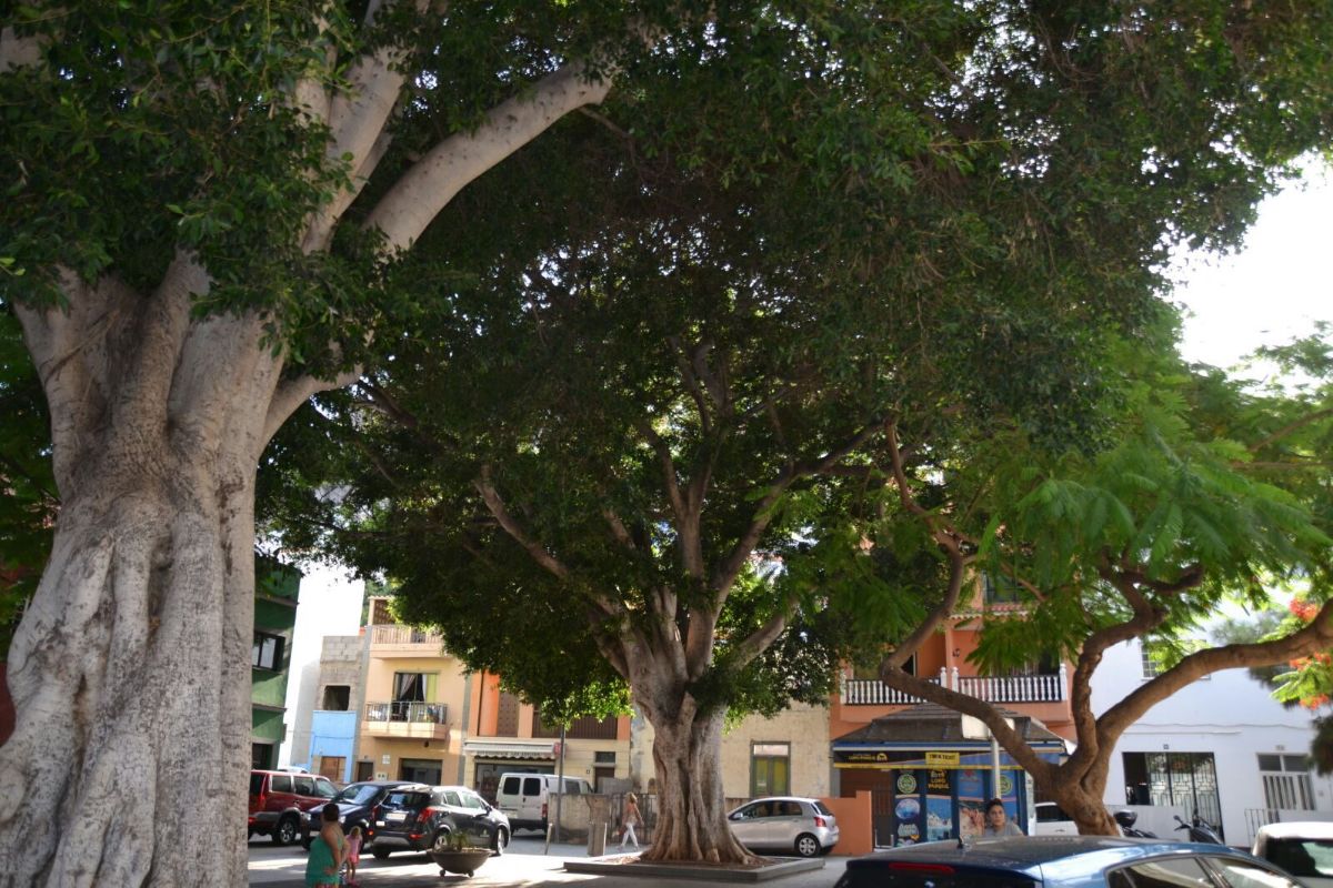 La plaza de Las Adelfas es una de las zonas que más quejas acumula. DA