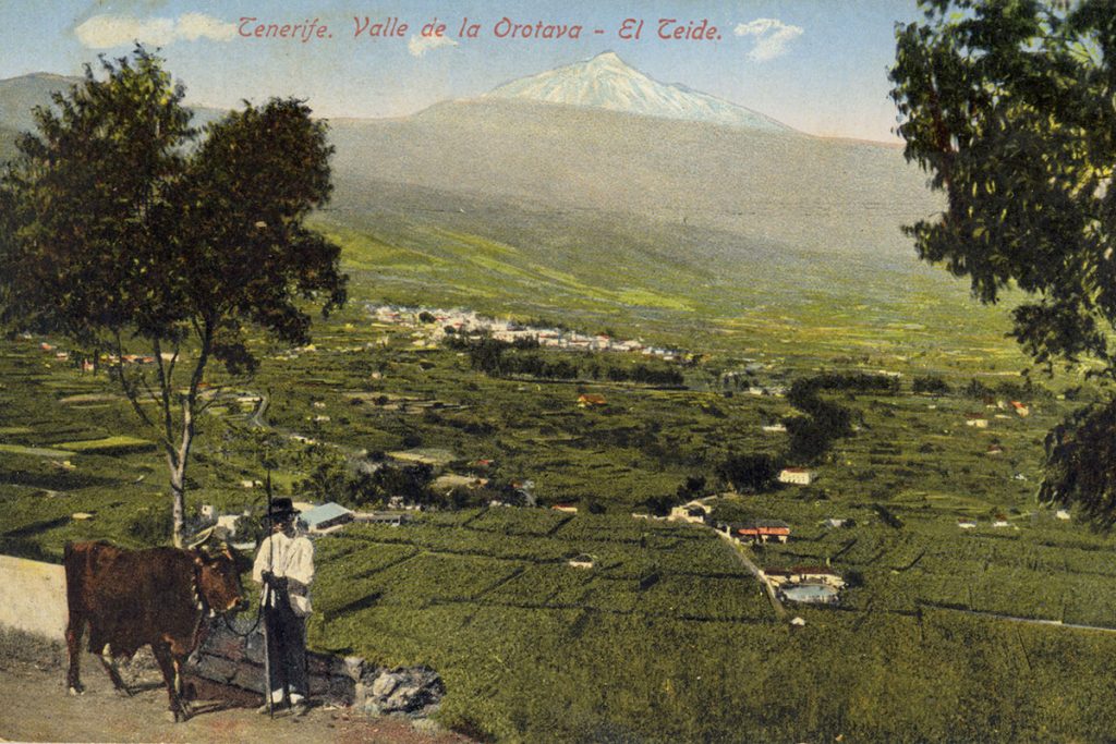 El valle de La Orotava, en el siglo XIX