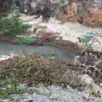 Vertido en Playa La Batata (El Médano)