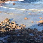 Vertido en Playa La Batata (El Médano)
