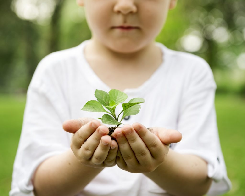 Estos son los beneficios de la naturaleza en la educación de los niños