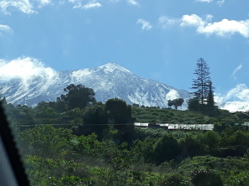 El Teide, cubierto de nieve este viernes. / EDUARDO NAVAL