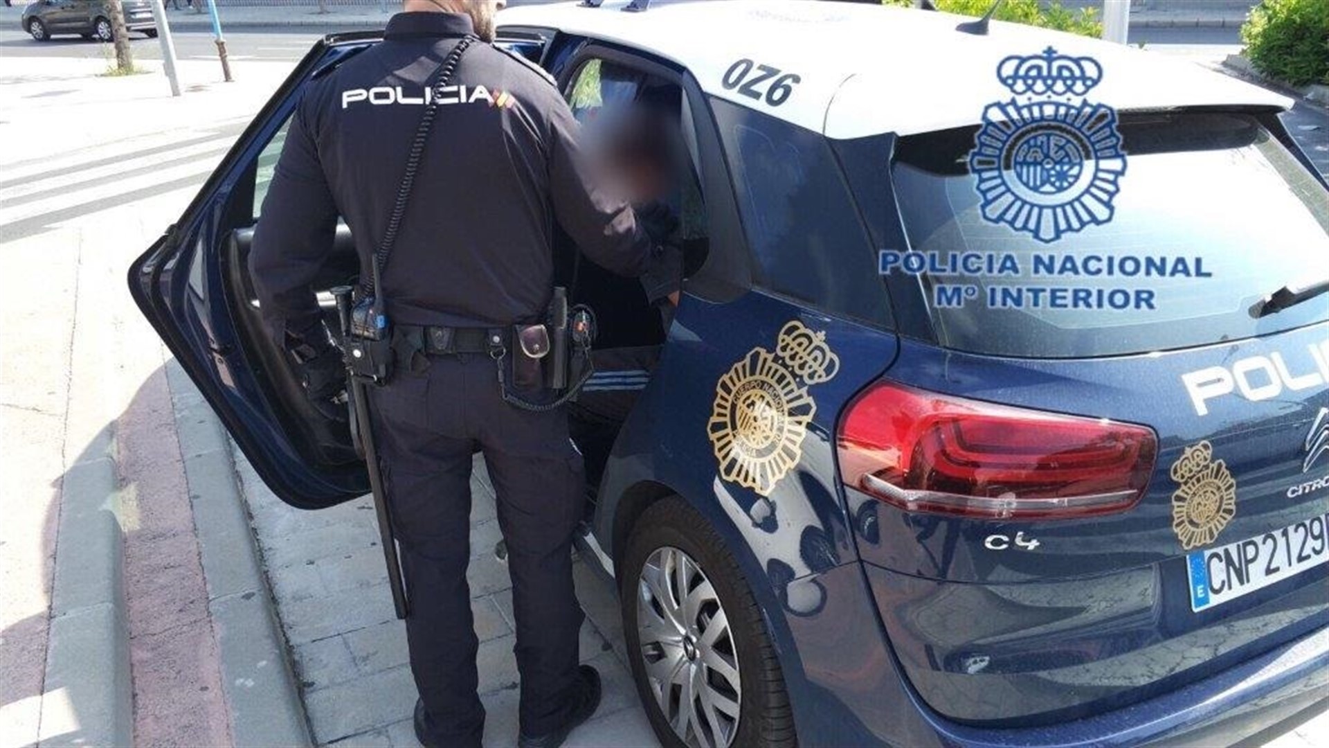 Detenido en el sur de Tenerife por tener 58 plantas de marihuana en su terraza. / EP