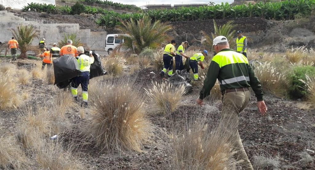 El Cabildo de Tenerife retira 33 toneladas de residuos vegetales de especies exóticas invasoras en octubre. / EP