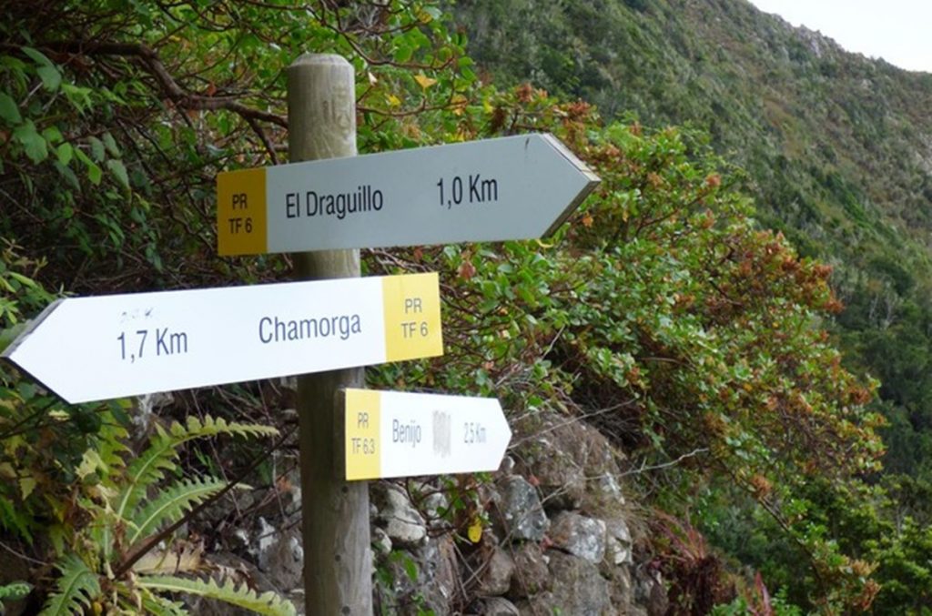 Chamorga