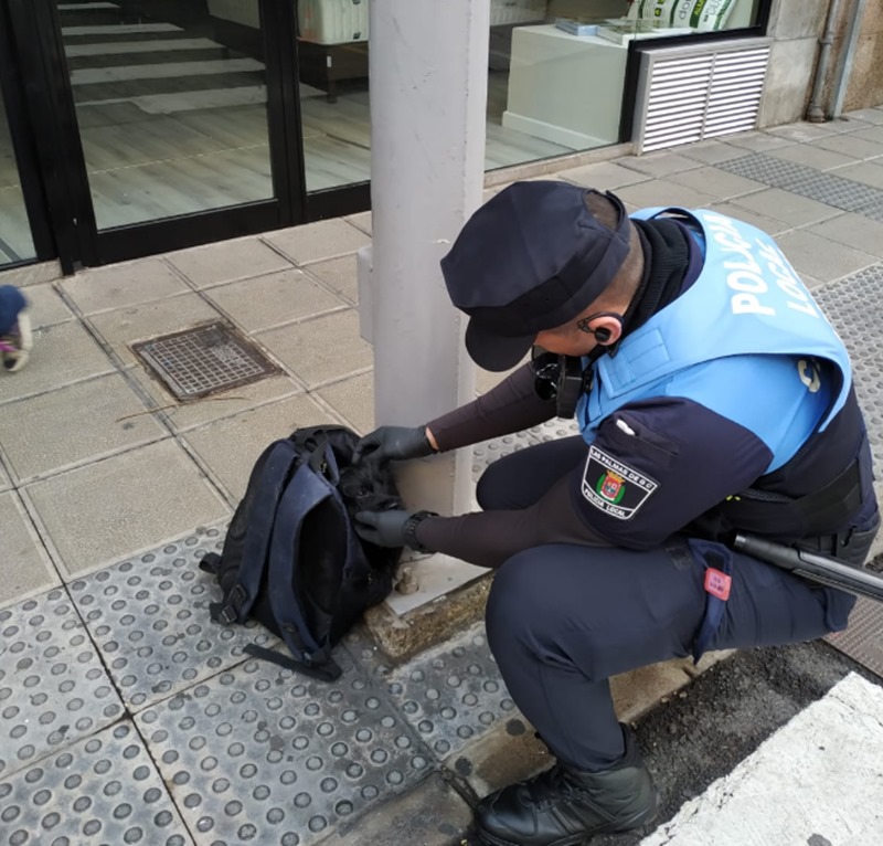 El hallazgo en una mochila que dejó sin palabras a la Policía de Las Palmas. / TWITTER POLICÍA LOCAL LAS PALMAS