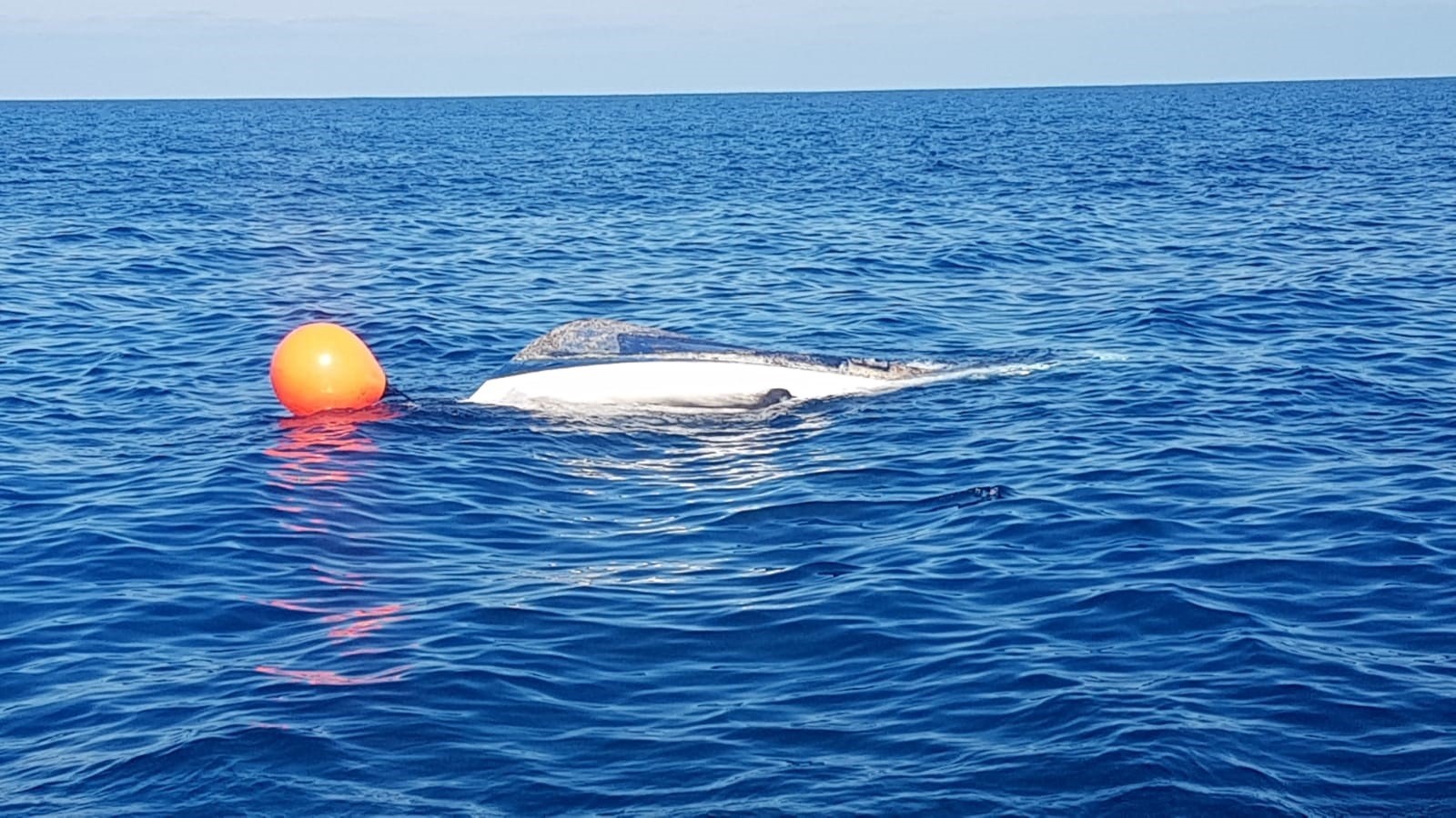 Salvamento Marítimo busca a una persona en el mar tras incendiarse una embarcación al sur de Lanzarote. / GUARDIA CIVIL