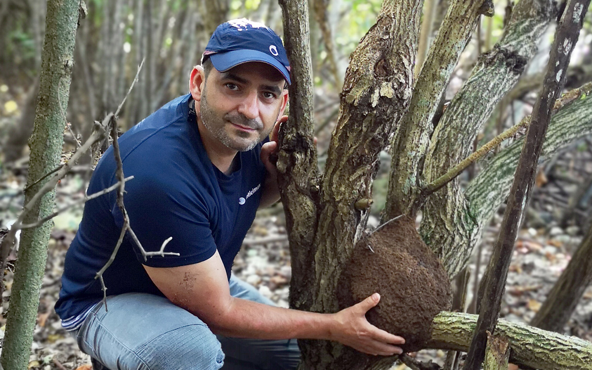 El experto en termitas David Mora