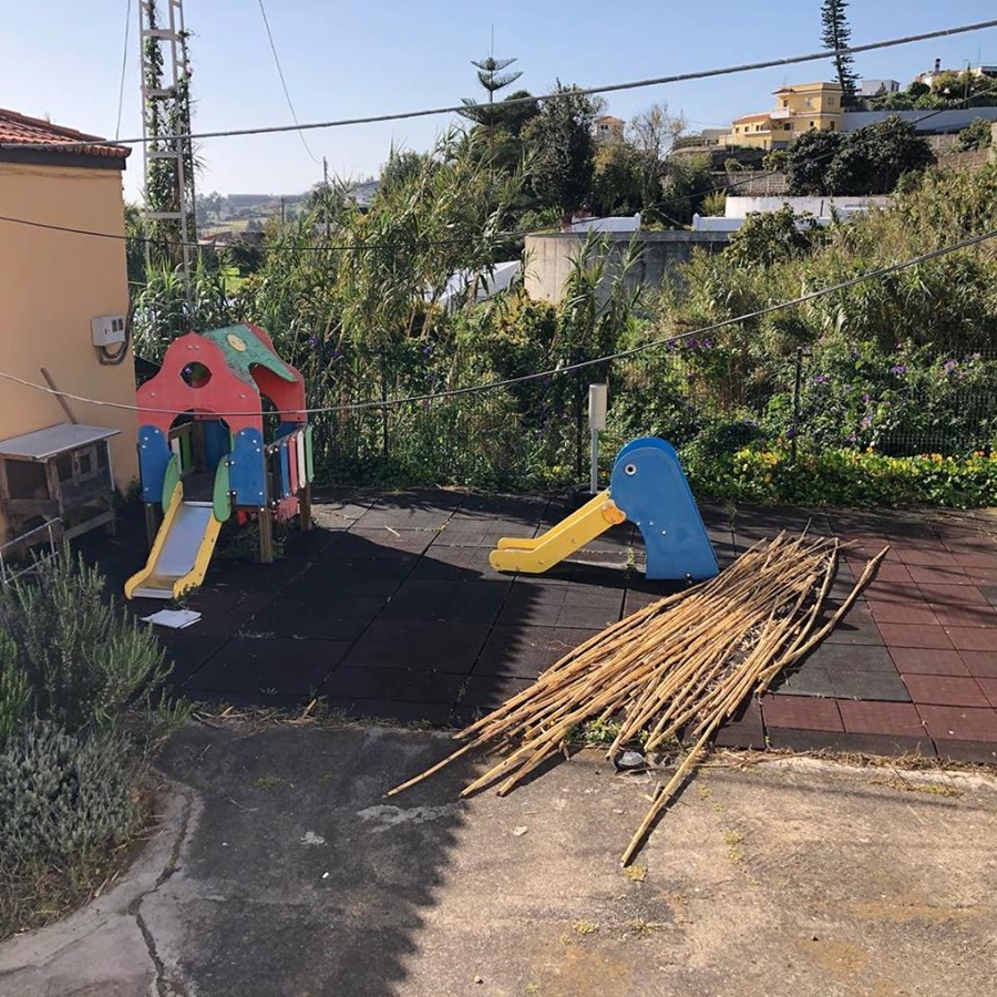 CEIP San Vicente de Velhoco (La Palma) digital