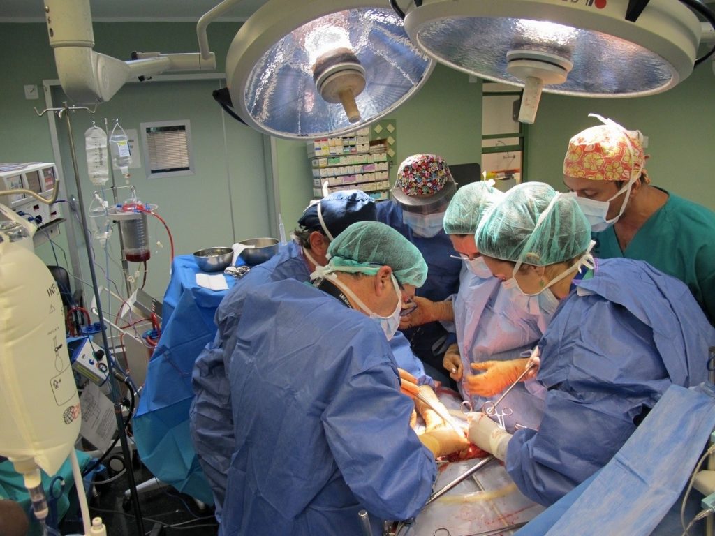 Operación de trasplante| EP