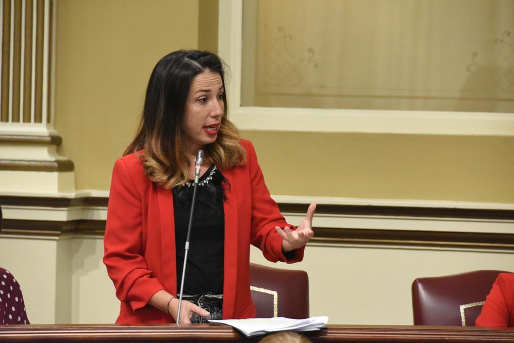Patricia Hernández, ayer, durante su intervención en el Parlamento regional sobre los vertidos en La Hondura. DA