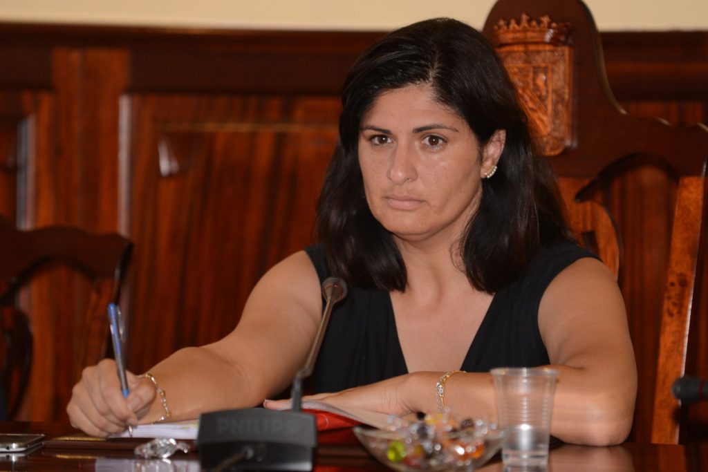 Juan Delgado, junto a Verónica Jorge (CC), en el último pleno como concejal del PP, ahora no adscrito / NORCHI