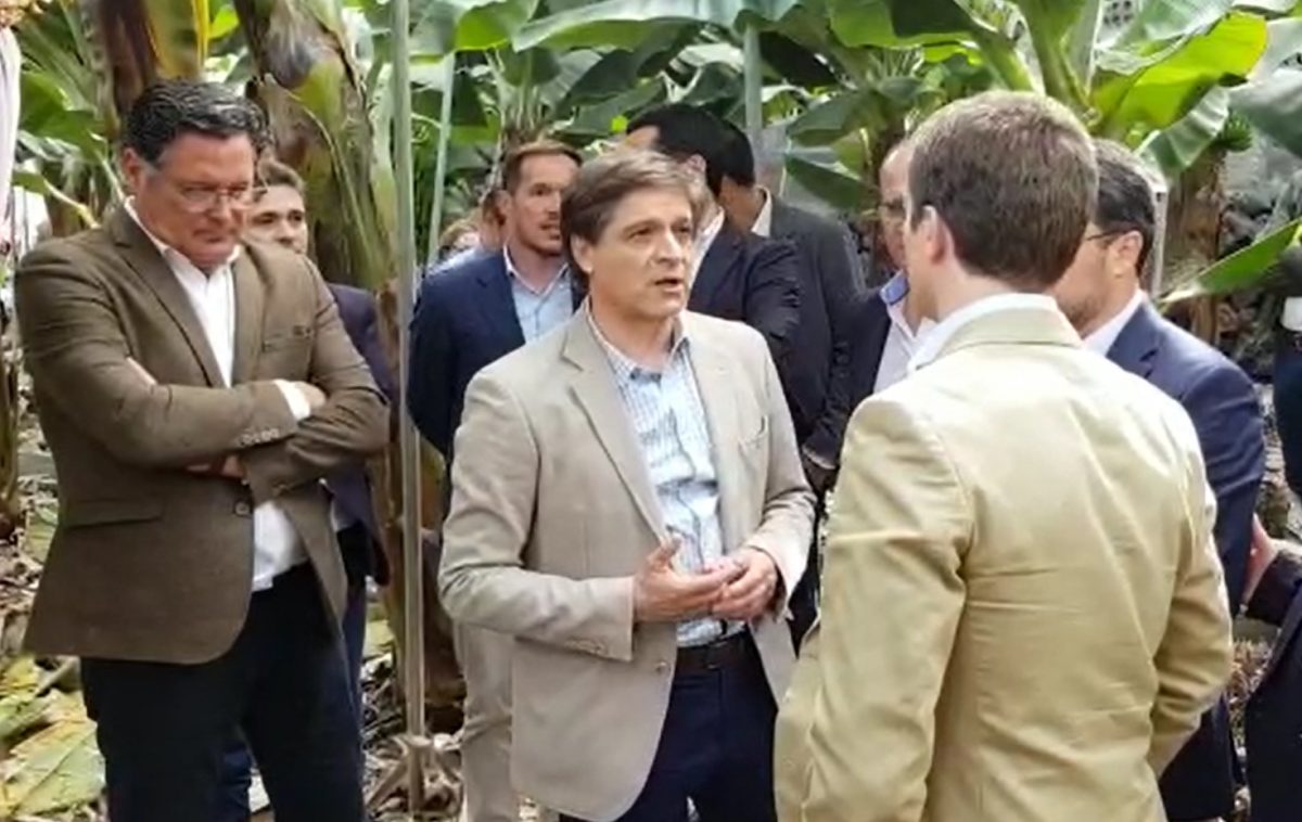 Visita de Pablo Casado a una finca de plátanos en Breña Baja. / DA