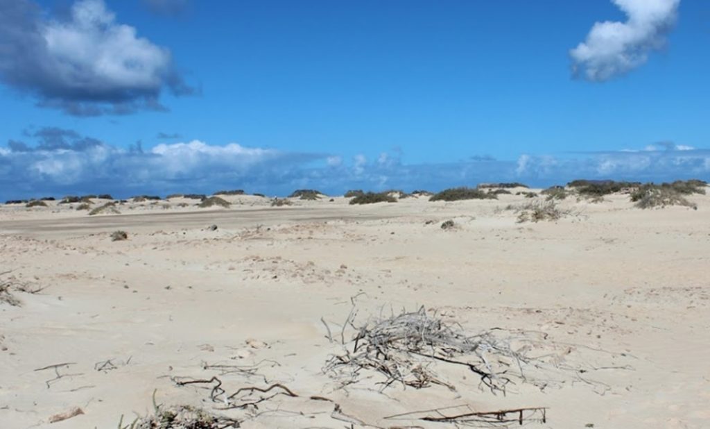 Parque Natural de Corralejo. Google