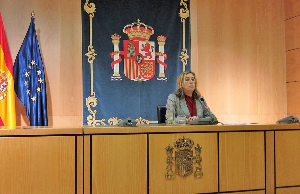 La subdelegada del Gobierno en Las Palmas, Teresa Mayans