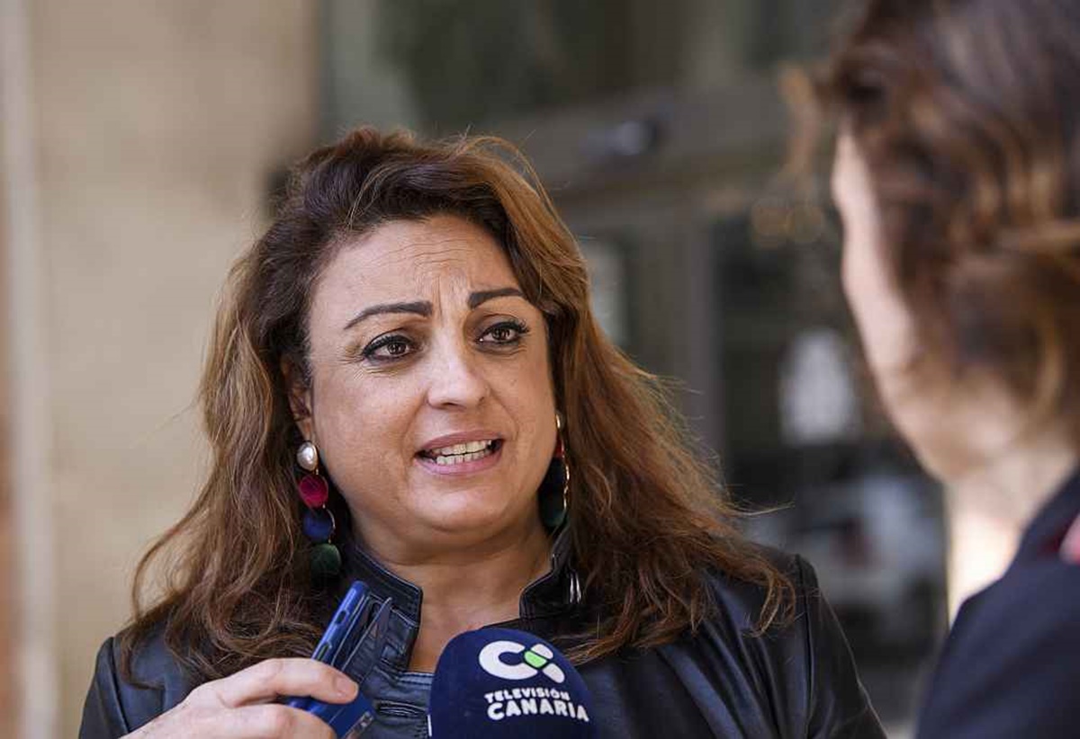 La consejera de Empleo del Gobierno de Canarias, Cristina Valido, aseguró que esta aprobación obedece a la presión del Ejecutivo y a las elecciones. DA