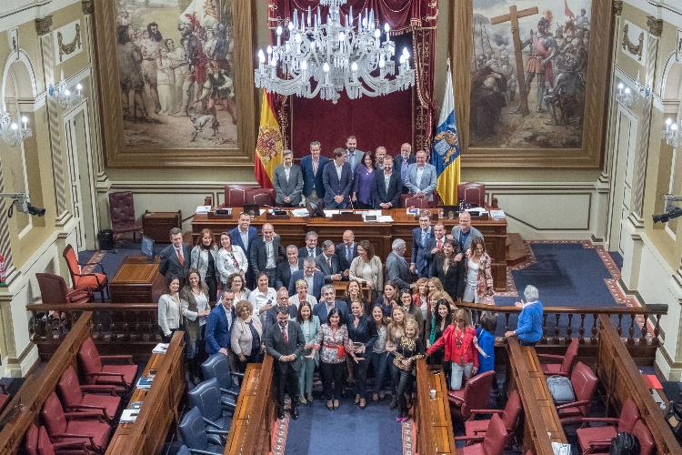 Foto de familia al término del último pleno ordinario de la novena legislatura canaria. / DA 