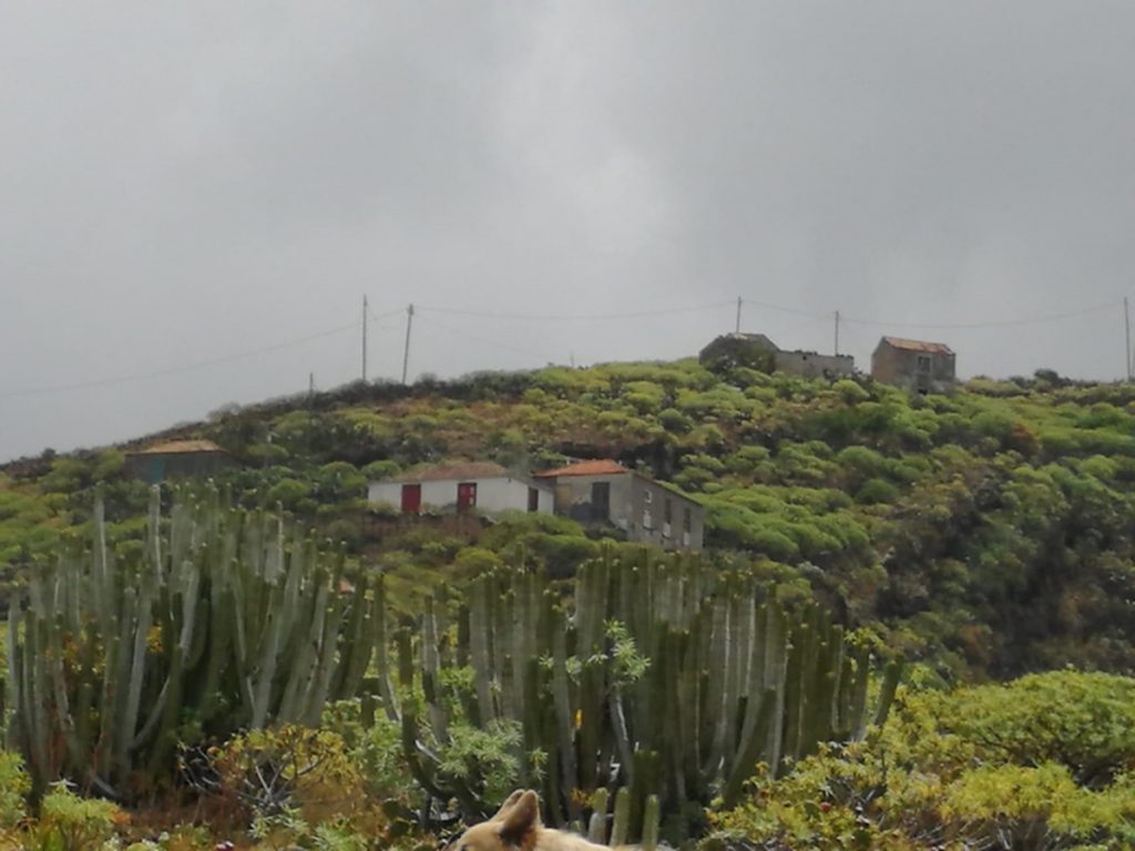 El Mudo. DA