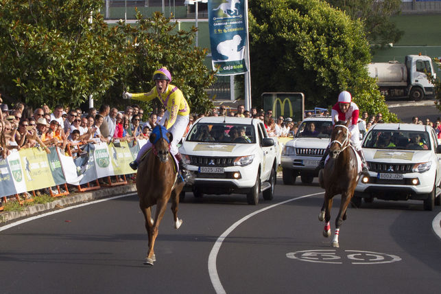 Las carreras de caballos y el mundo de la hípica "tropiezan" con la seguridad del tráfico. DA