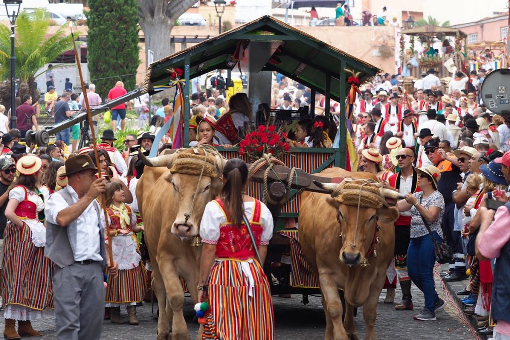 El desfile romero contó con la cifra récord de 90 carretas y un centenar de parrandas que tardaron cerca de ocho horas en recorrer el casco histórico de la Villa. Foto: Sergio Méndez
