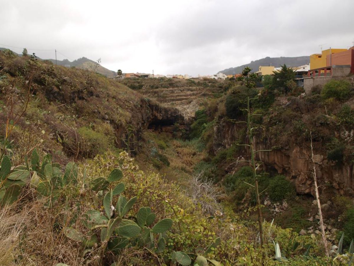 Sector de El Murgaño, en el barranco Agua de Dios, en el municipio de Tegueste. Foto Cedida