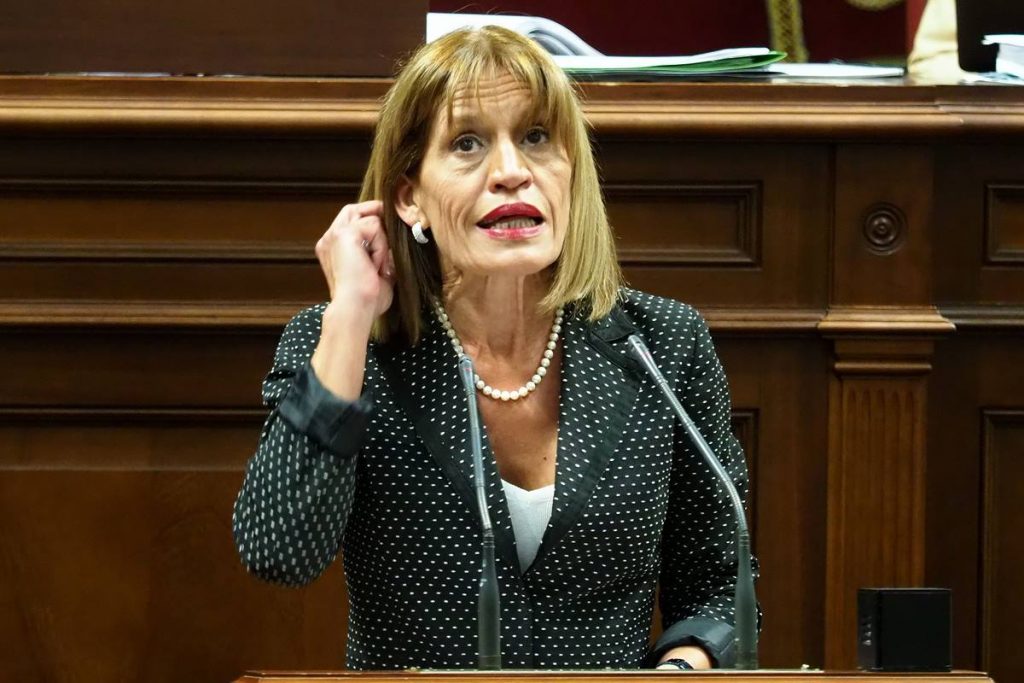 La diputada de Nueva Canarias Esther González, en una sesión plenaria en el Parlamento de Canarias. Sergio Méndez