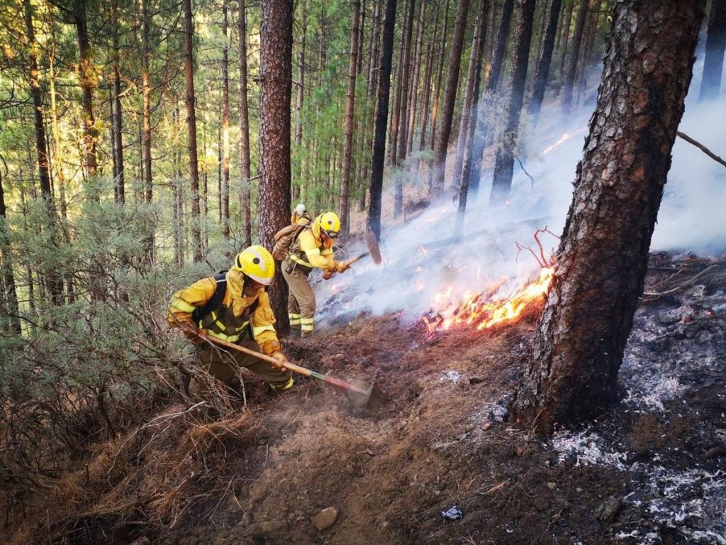 Efectivos de la BRIF de Puntagorda intervienen en las labores de extinción del incendio de Gran Canaria. EP