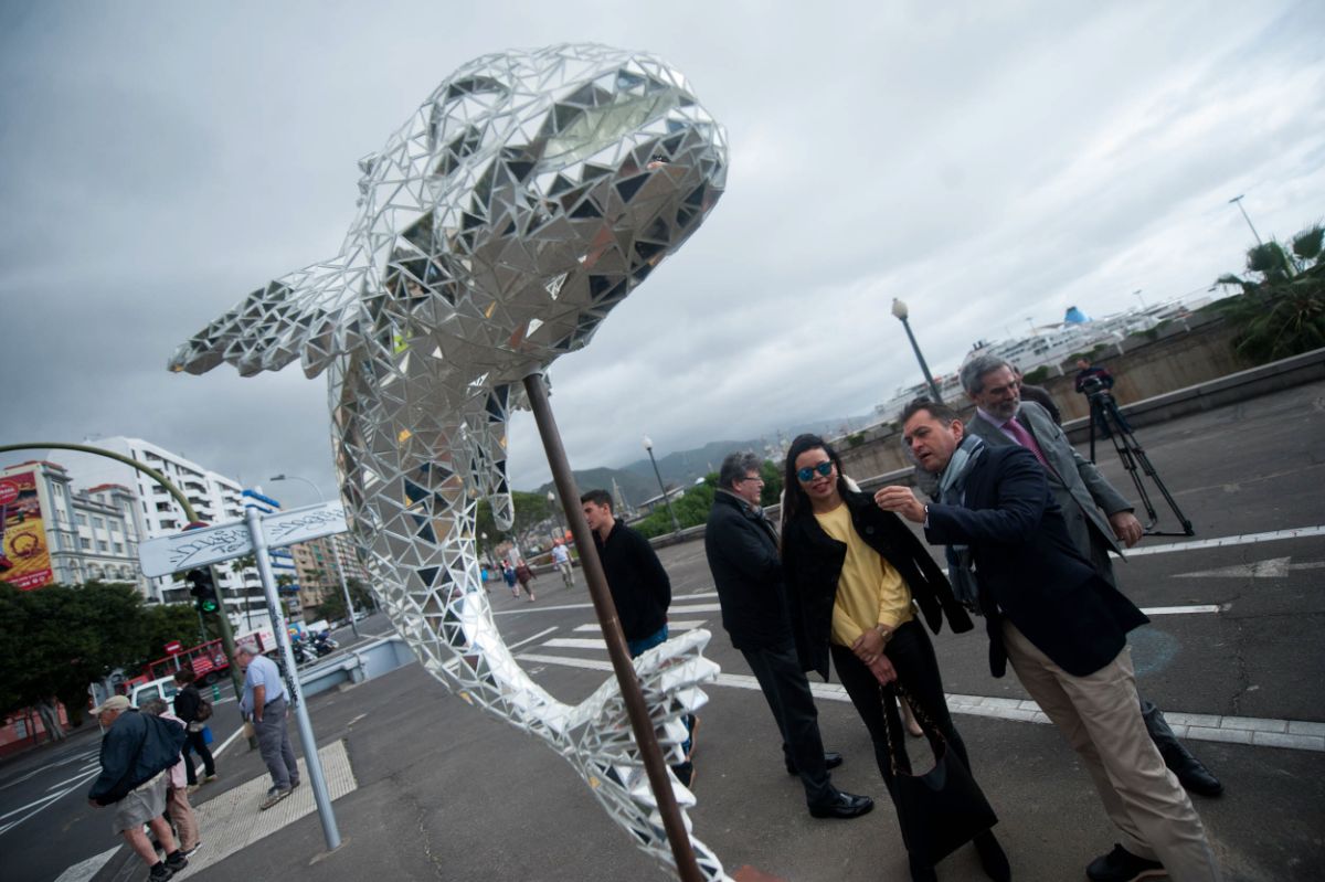 ‘Chicharrito reflejo’, de Liseth Rodríguez Figuera. | FOTO: Fran Pallero
