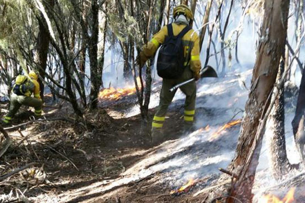 Bomberos forestales luchando contra las llamas en Canarias. / EUROPA PRESS
