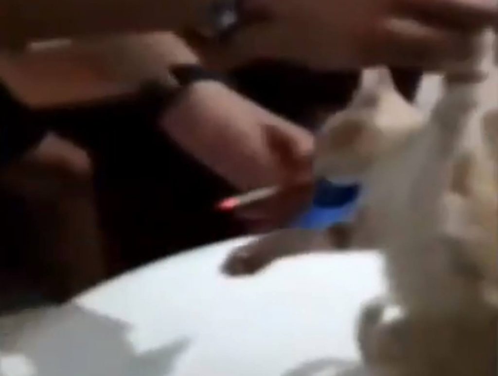 La broma les podría salir muy cara: investigados por obligar a fumar a un gatito. Youtube