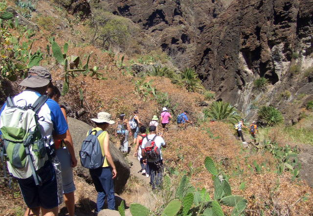 Senderismo en Tenerife: el Cabildo lanza una app pionera con 173 rutas en la Isla