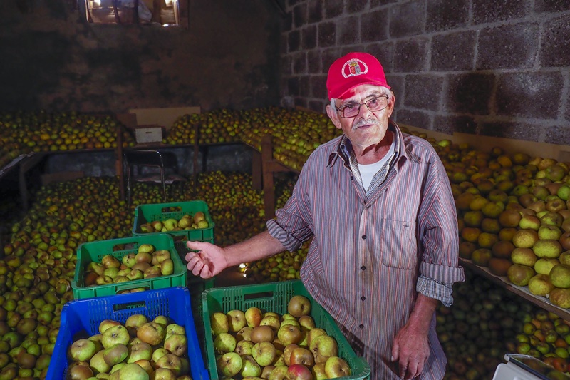 En el almacén de la finca en la que trabaja, don Pancho se encuentra rodeado de miles de kilos de manzanas reinetas, que desprenden un aroma embriagador. Sergio Méndez