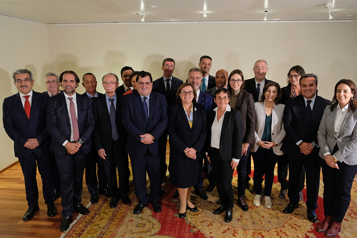 Imagen de la reciente reunión de la delegación canaria en Bruselas con los presidentes de las RUP para iniciar la presión y negociación en Europa. DA