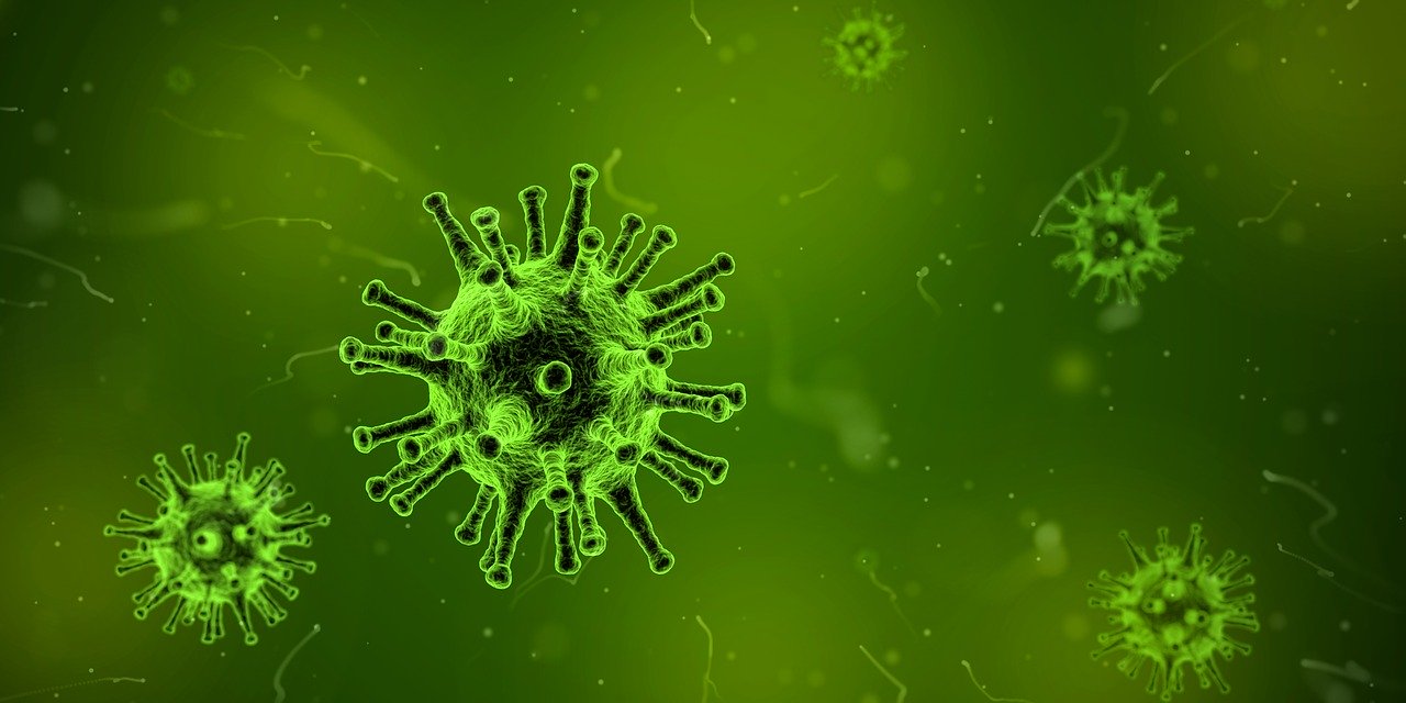 Virus de la gripe. Pixabay