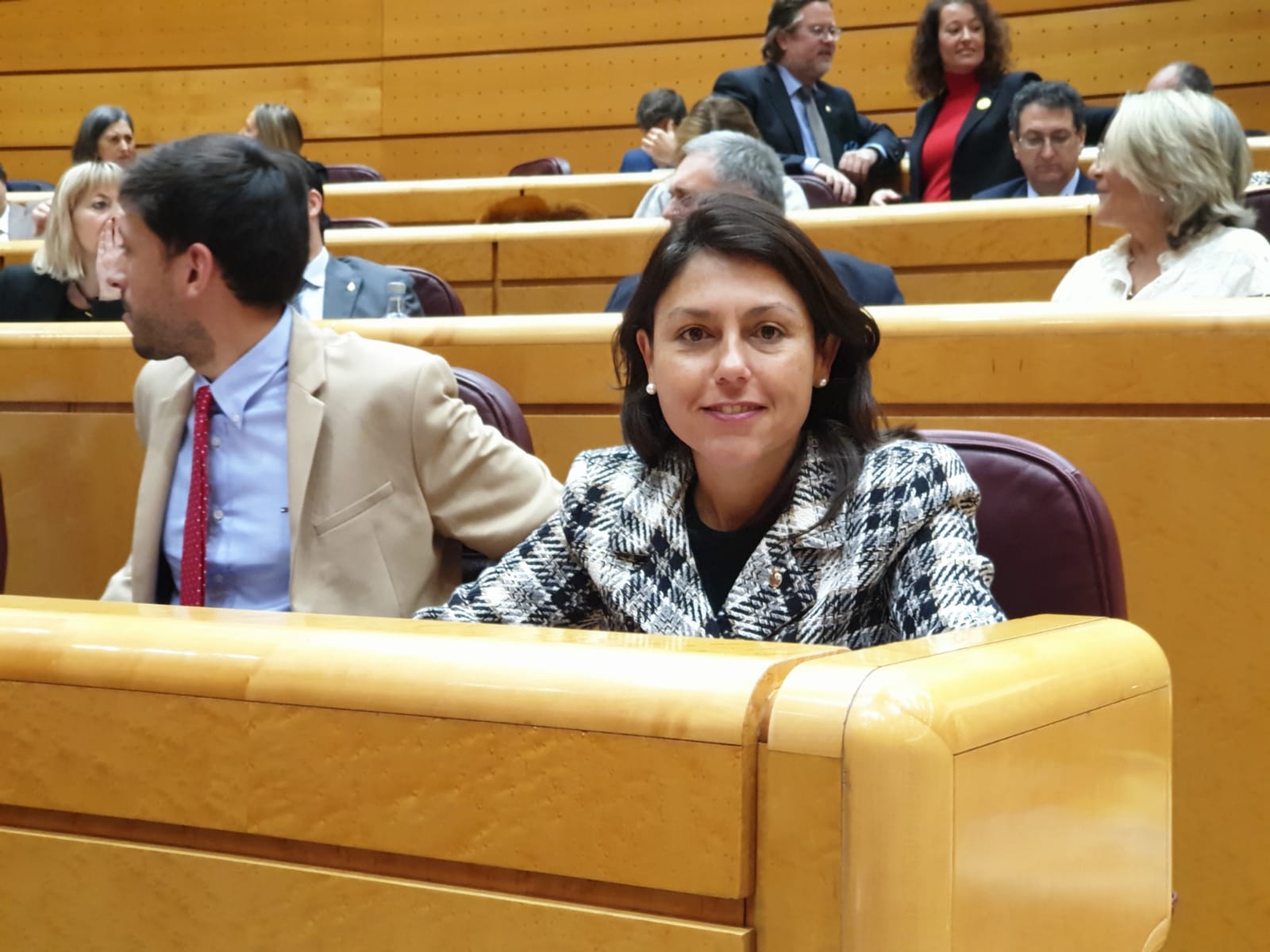 Paloma Hernández Cerezo, senadora del PSOE por Fuerteventura. / DIARIO DE AVISOS