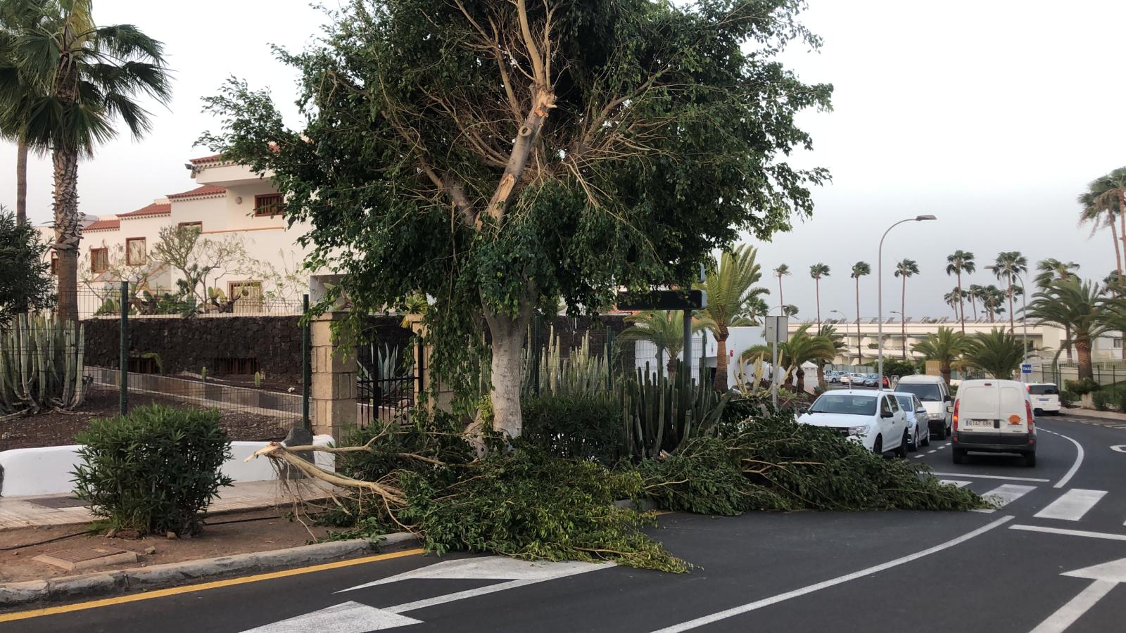 La tormenta causó daños materiales en varios puntos del norte de Tenerife. DA
