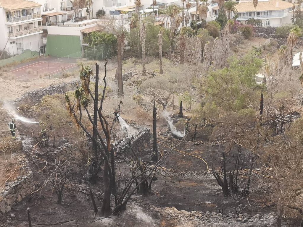 Imagen del área quemada en el barranco próximo a la urbanización Chayofa y las labores de refresco. DA