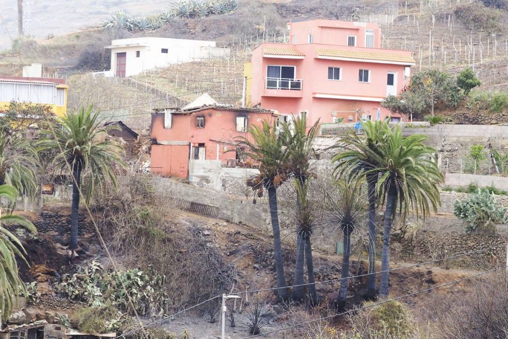 Consecuencias del incendio en Santa Úrsula. Sergio Méndez