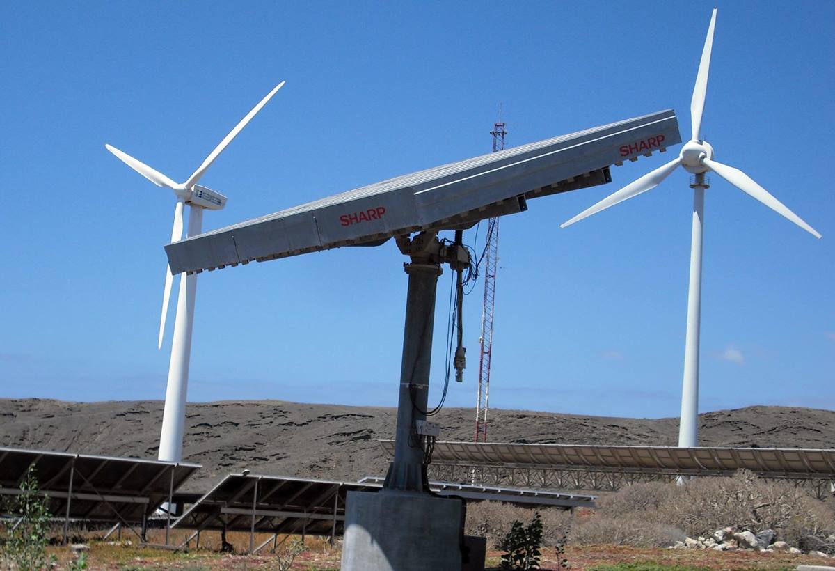 El 2019 anotó nuevos máximos de generación eólica y de generación renovable en diferentes islas. DA