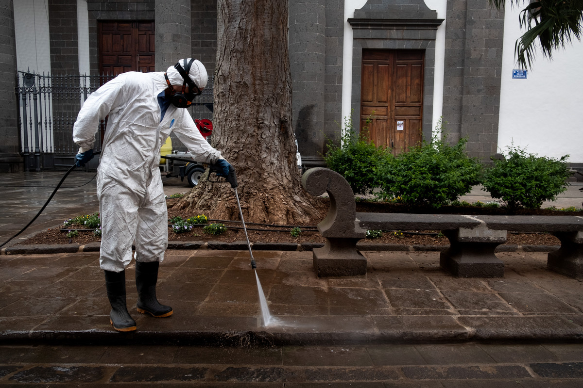 Operarios desinfectan calles de La Laguna. Fran Pallero