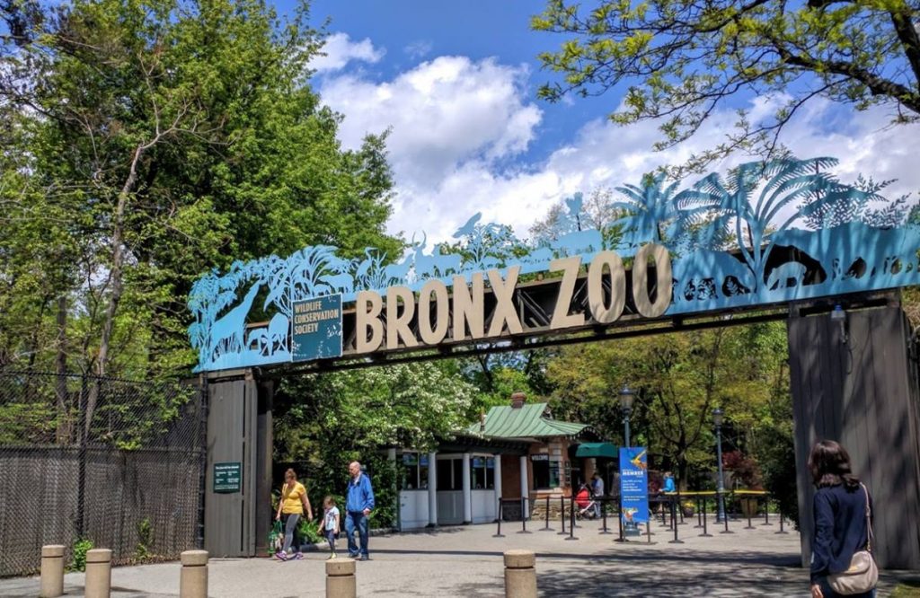 Zoo del Bronx. Christopher Anderson / Google Maps